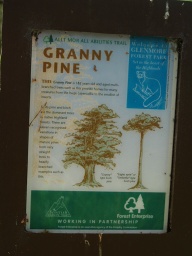 Image on trail